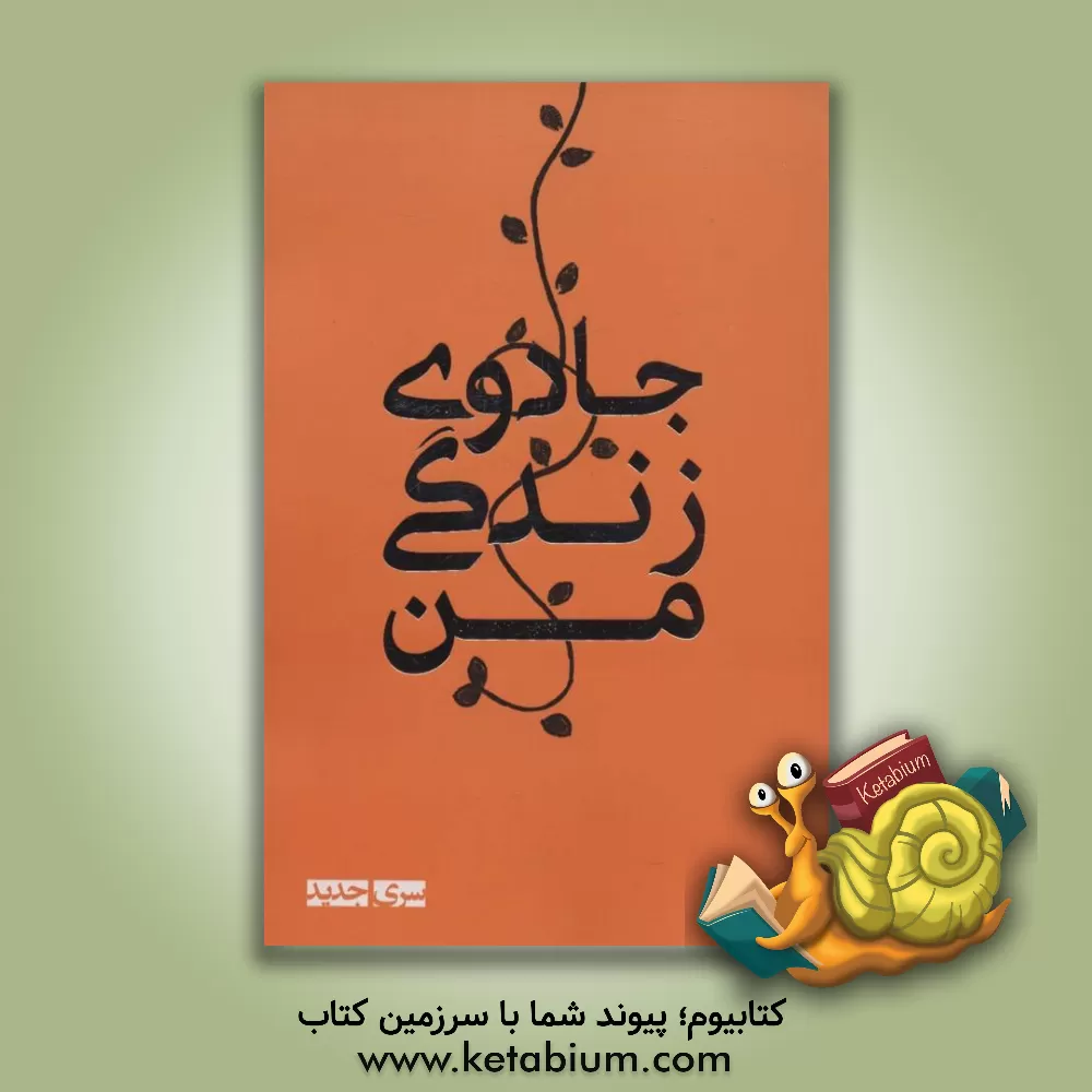 کتاب بولت ژورنال جادوی زندگی من اثر حسین قاسم‌زاده