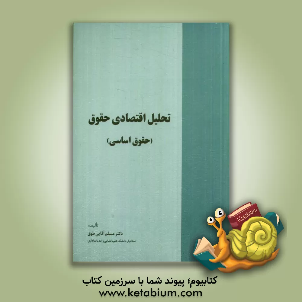 کتاب تحلیل اقتصادی حقوق (حقوق اساسی) اثر مسلم آقایی‌طوق