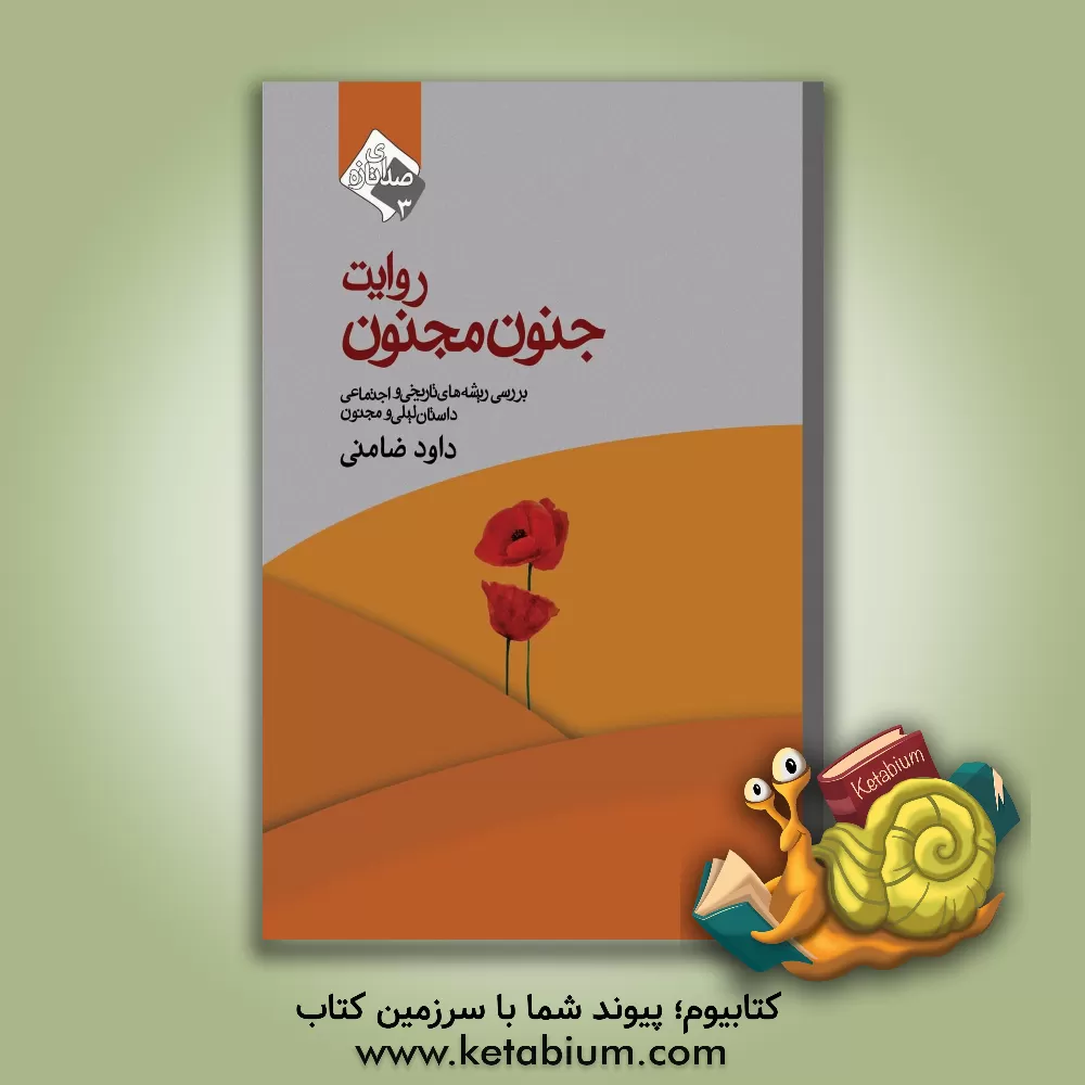 کتاب روایت جنون مجنون: بررسی ریشه‌های تاریخی و اجتماعی داستان لیلی و مجنون اثر داود ضامنی