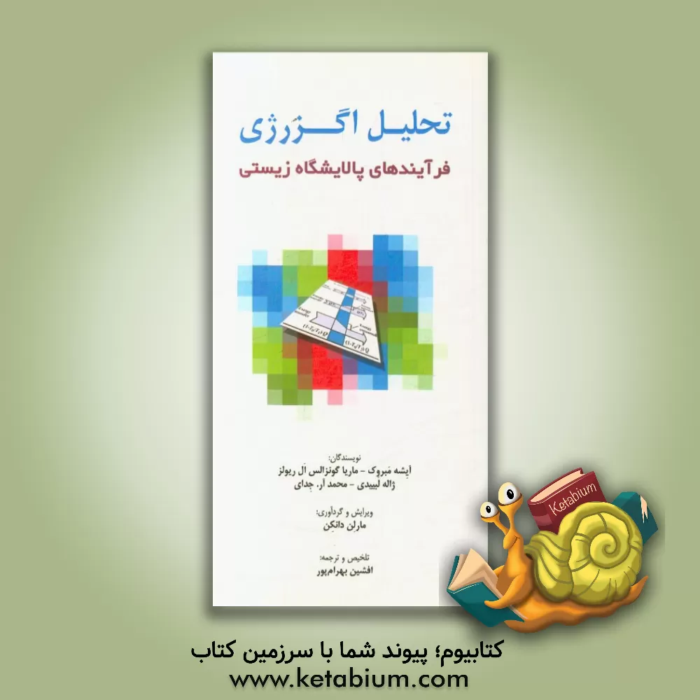 کتاب تحلیل اگزرژی فرآیندهای پالایشگاه زیستی اثر افشین بهرام‌پور