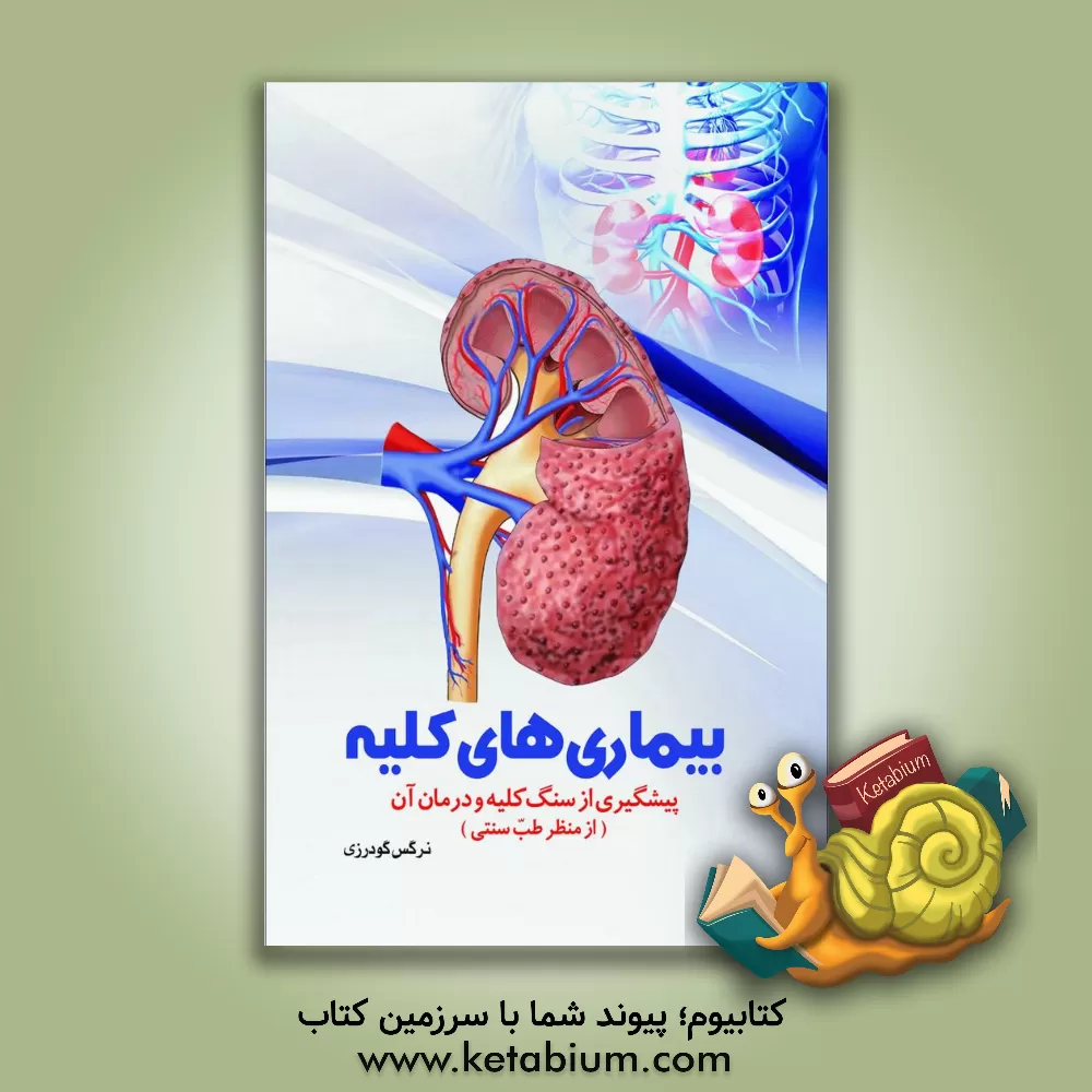 کتاب بیماری‌های کلیه: پیشگیری از سنگ کلیه و درمان آن (از منظر طب سنتی) اثر نرگس گودرزی