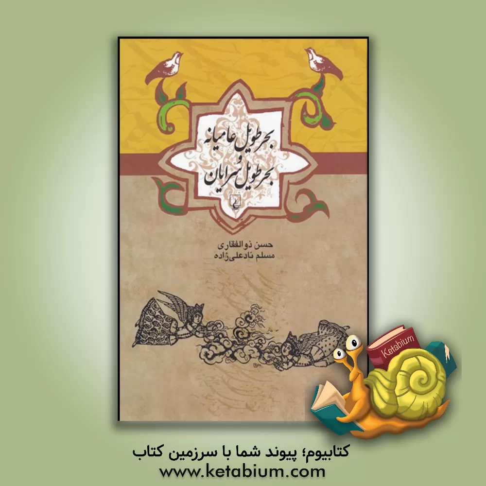 کتاب بحر طویل عامیانه و بحر طویل سرایان |اثر حسن ذوالفقاری