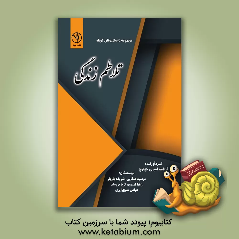 کتاب تلاطم زندگی اثر زهرا امیری