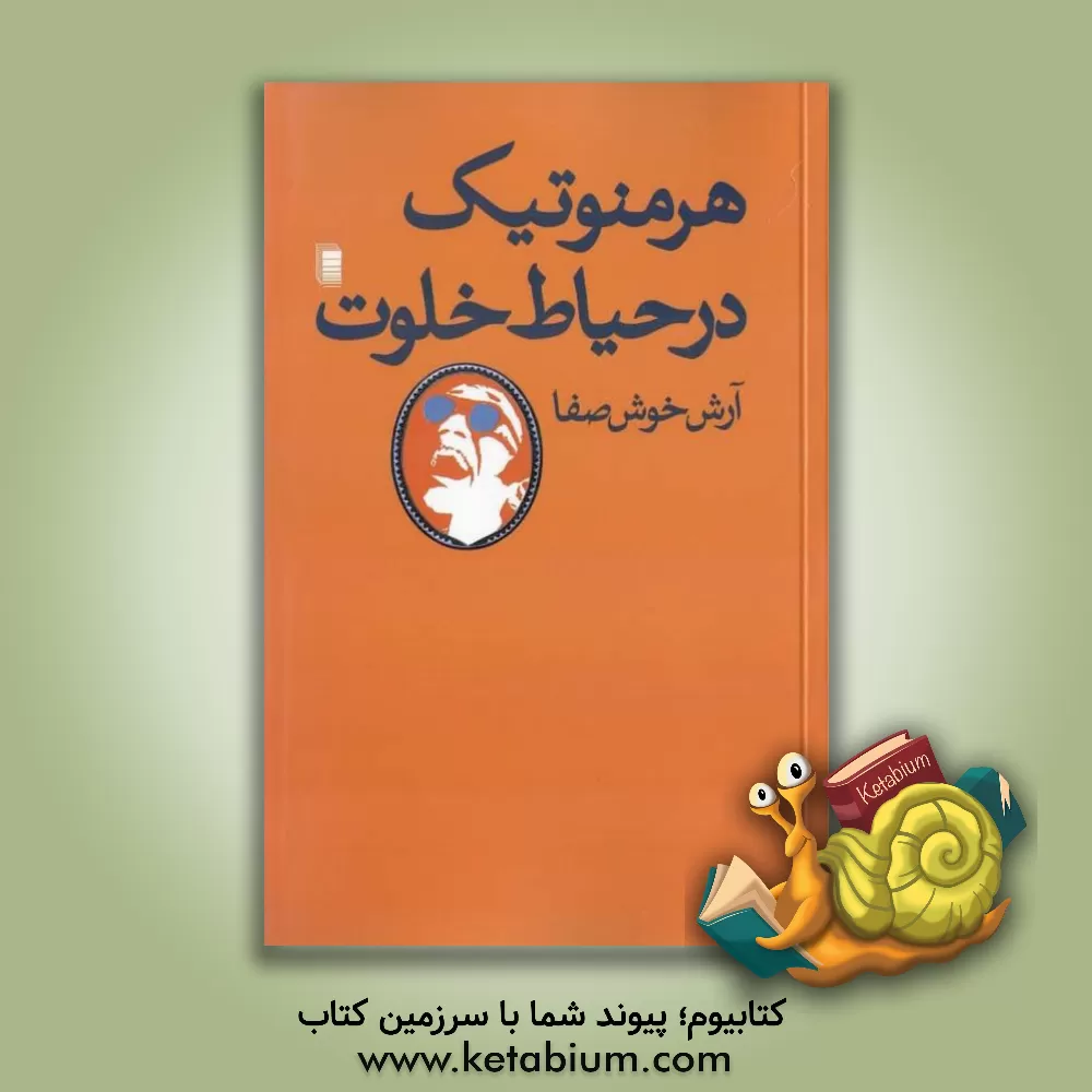 کتاب هرمنوتیک در حیاط خلوت اثر آرش خوش‌صفا