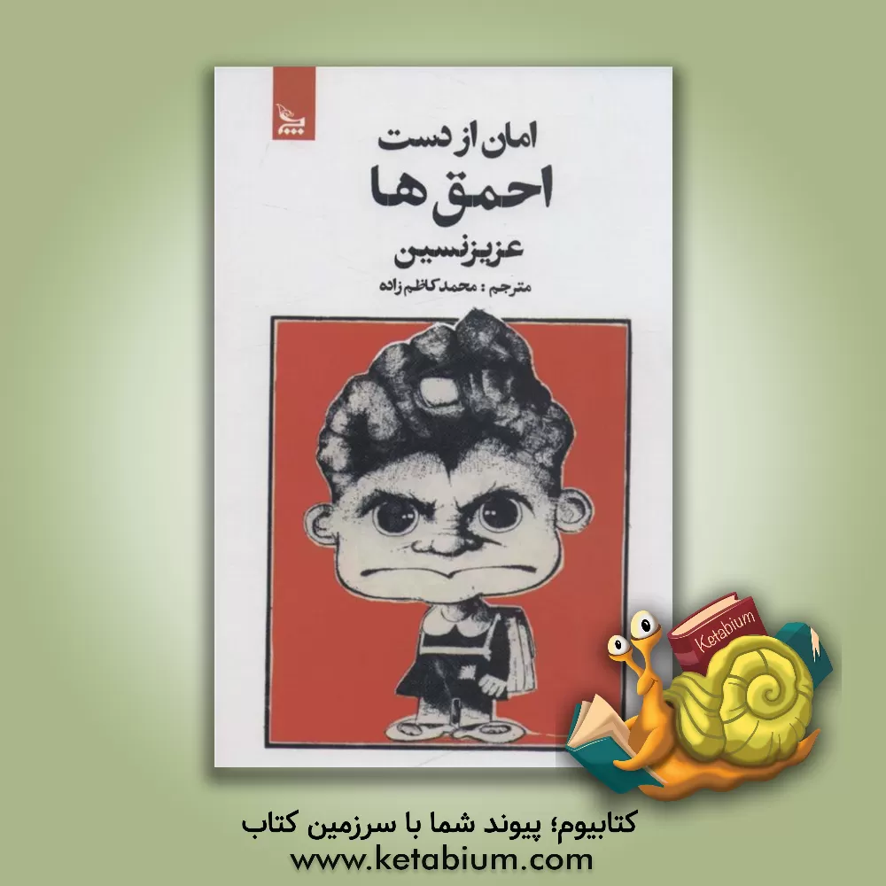 کتاب احمق‌ها: همراه با نوشتاری از بکیر یلدیز اثر عزیز نسین