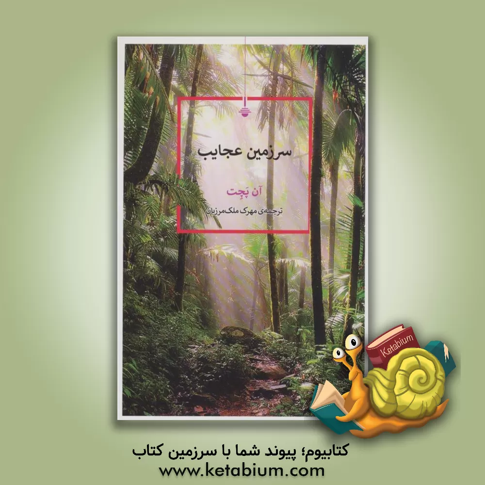 کتاب سرزمین عجایب اثر آن پچت