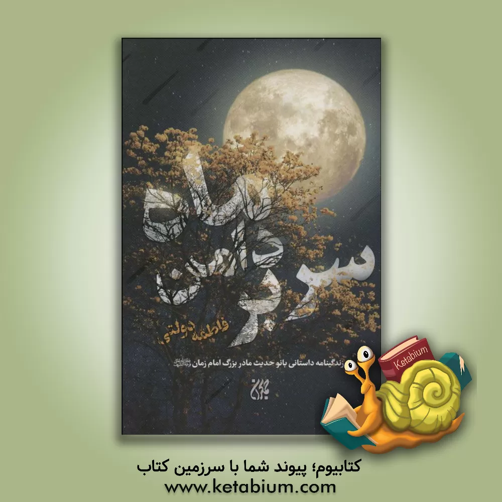 کتاب سر بر دامن ماه: زندگینامه داستانی بانو حدیث مادر بزرگ امام زمان (عج) اثر فاطمه دولتی