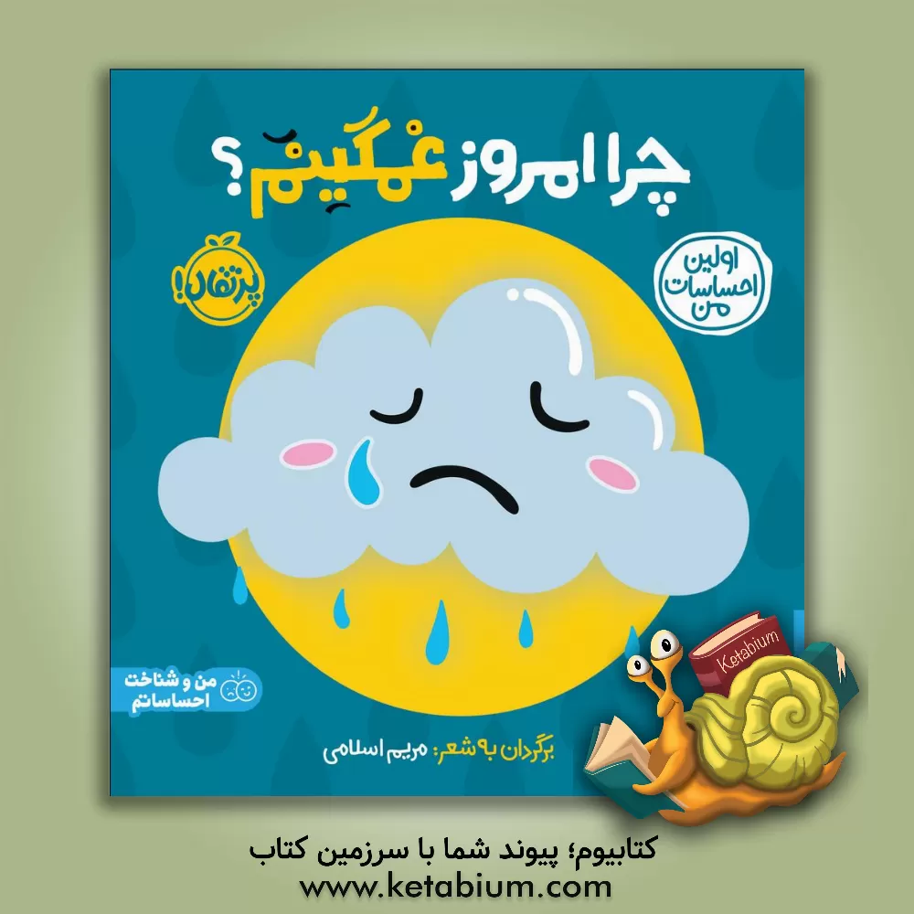 کتاب چرا امروز غمگینم؟ اثر مریم اسلامی