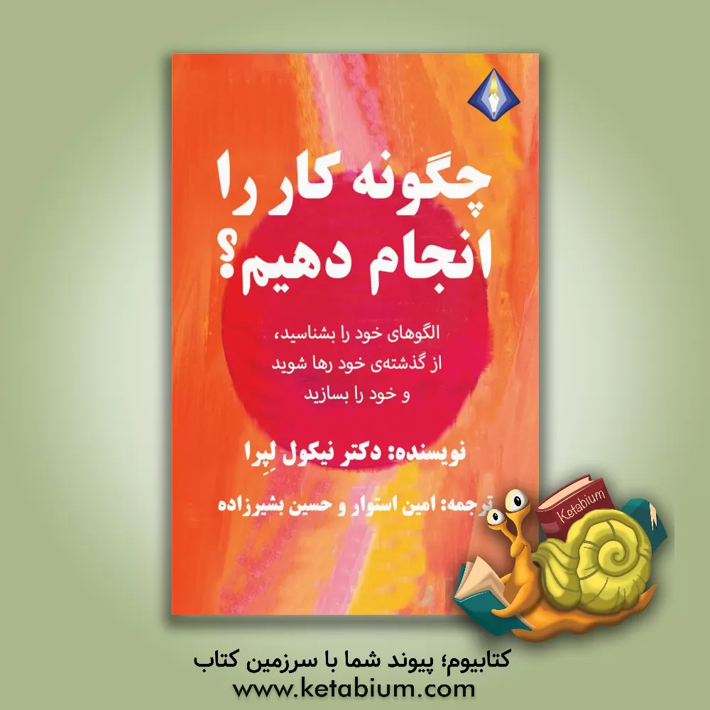 کتاب چگونه کار را انجام دهیم؟ اثر نیکول لپرا