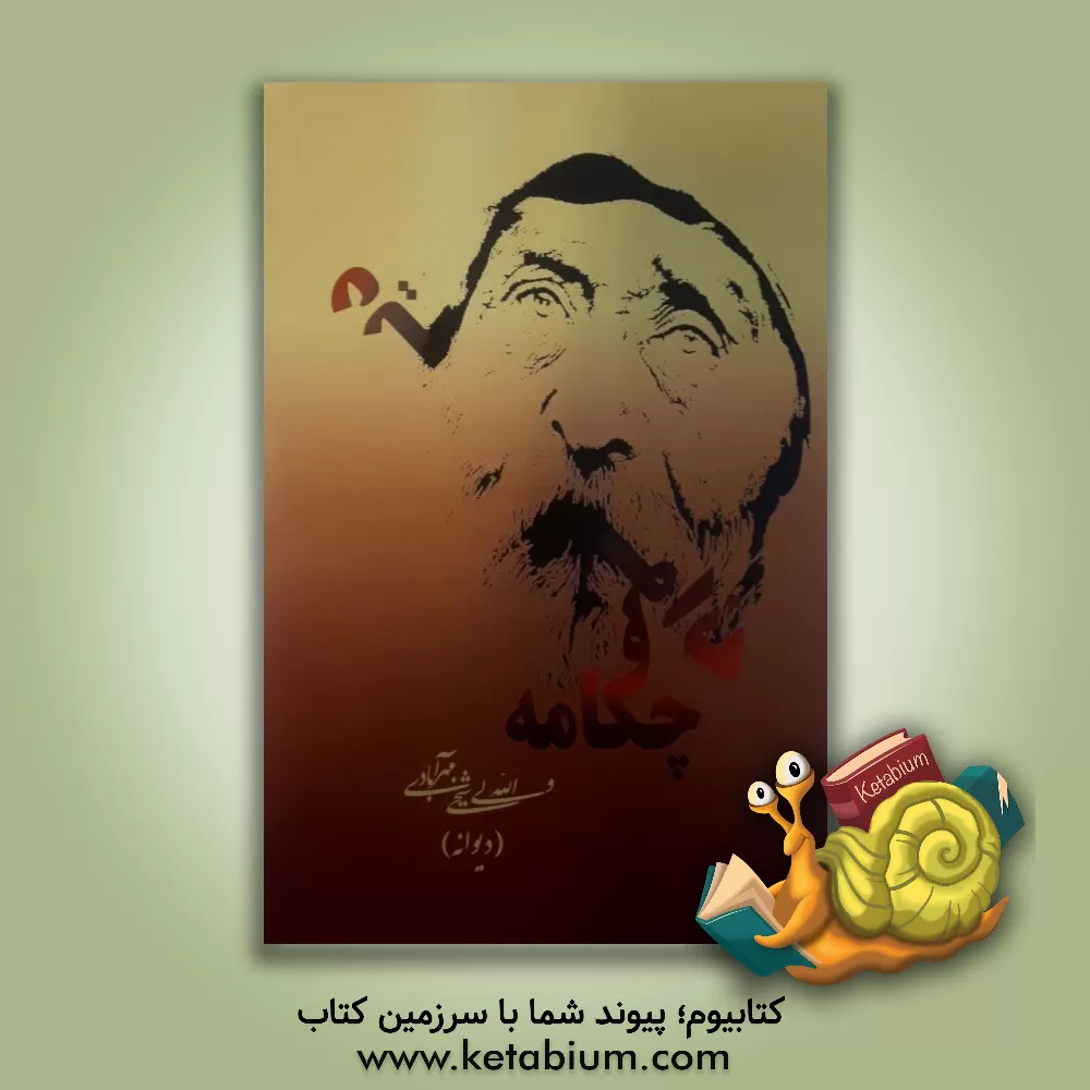 کتاب دیوانه و چکامه اثر ولی‌الله شیخی‌مهرآبادی