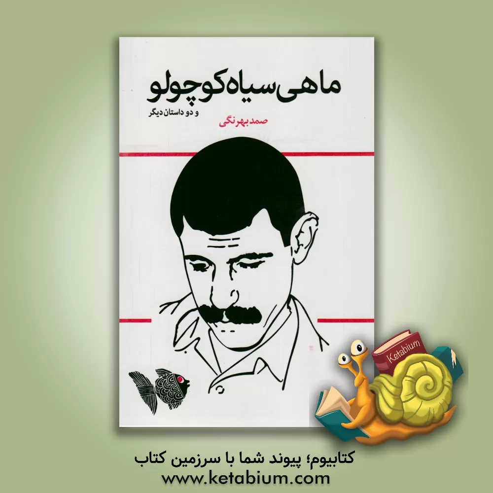 کتاب ماهی سیاه کوچولو اثر صمد بهرنگی