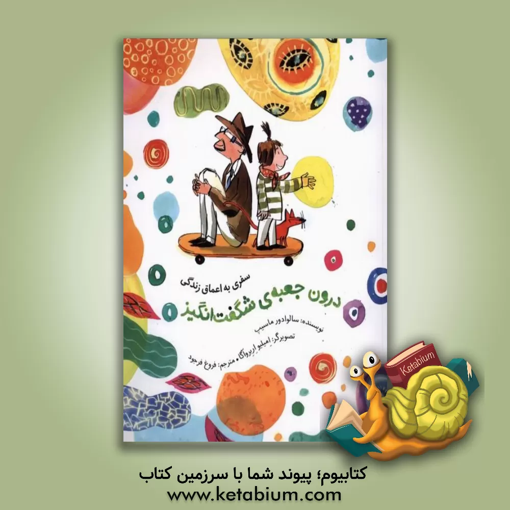 کتاب درون جعبه شگفت‌انگیز: سفری به اعماق زندگی اثر سالوادور ماسیپ