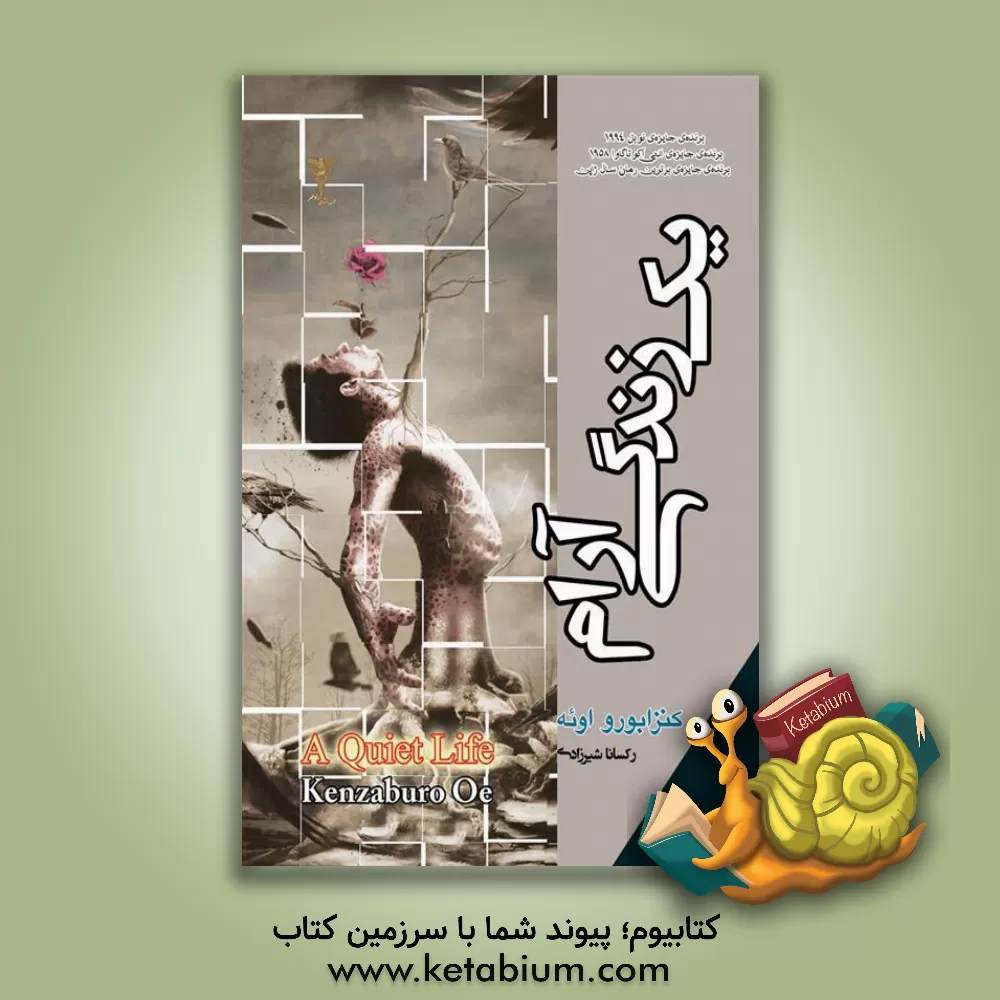 کتاب یک زندگی آرام اثر کنزابورو اوئه
