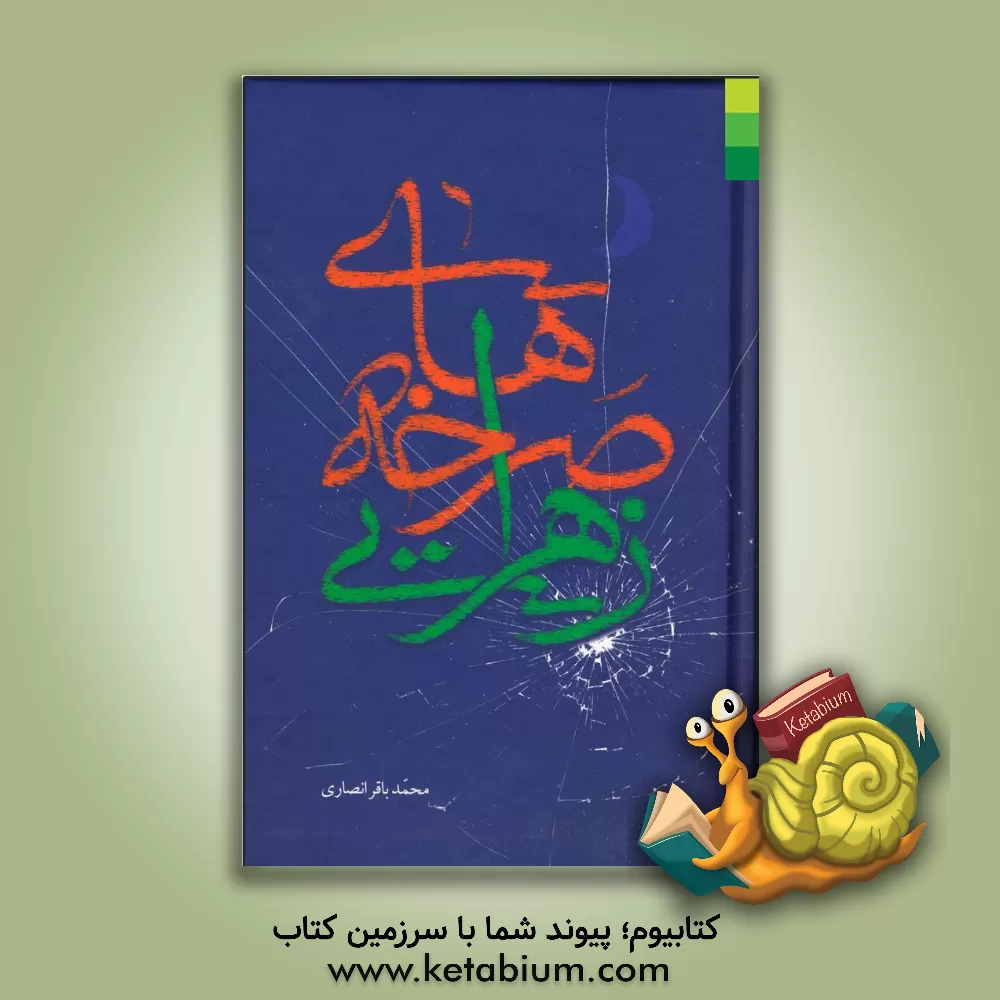 کتاب صرخه های زهرایی: دعوت های آرام و فریادهای بلند حضرت زهرا (ع) در مقابله با سقیفه |اثر محمدباقر انصاری