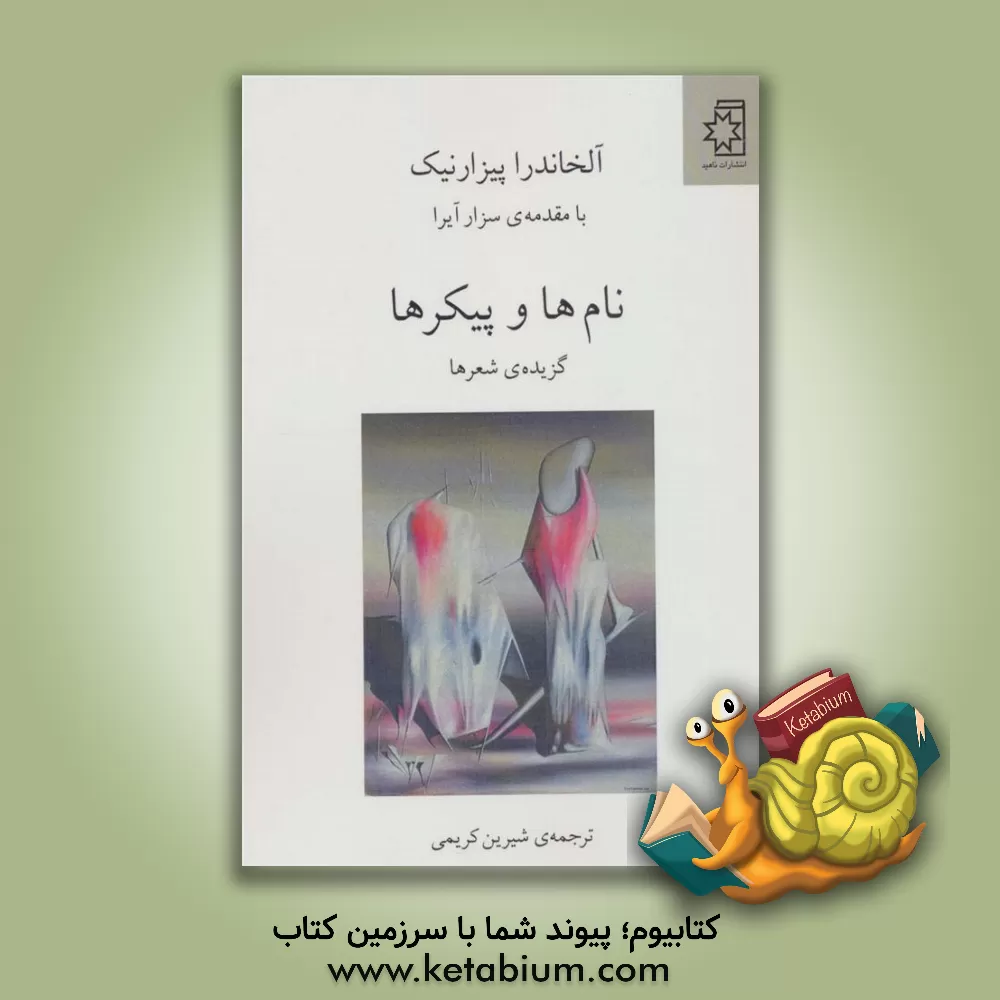 کتاب نام ها و پیکرها: گزیده ی شعرها |اثر آلخاندرا پیسارنیک