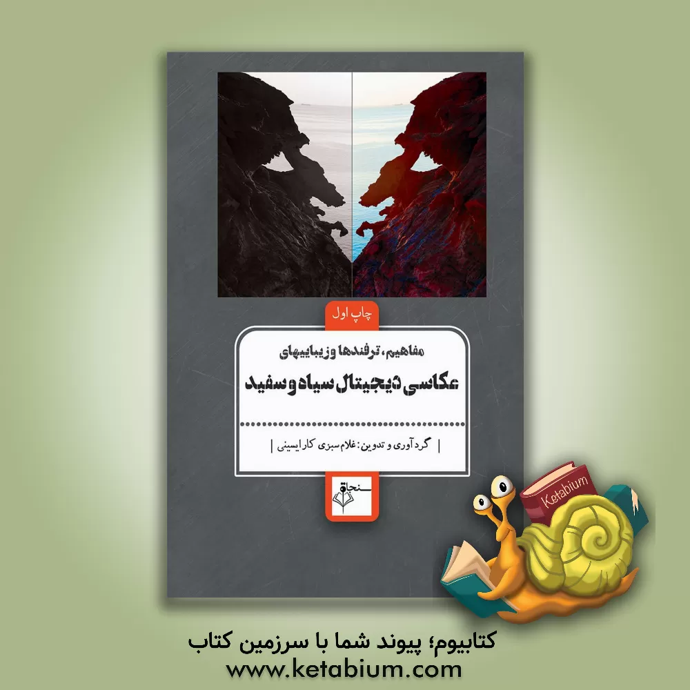 کتاب مفاهیم، ترفندها و زیبایی‌های عکاسی دیجیتال سیاه و سفید اثر غلام سبزی‌کارایسینی