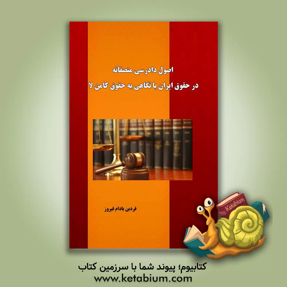 کتاب اصول دادرسی منصفانه در حقوق ایران با نگاهی به حقوق کامن‌لا اثر فردین بادام‌فیروز