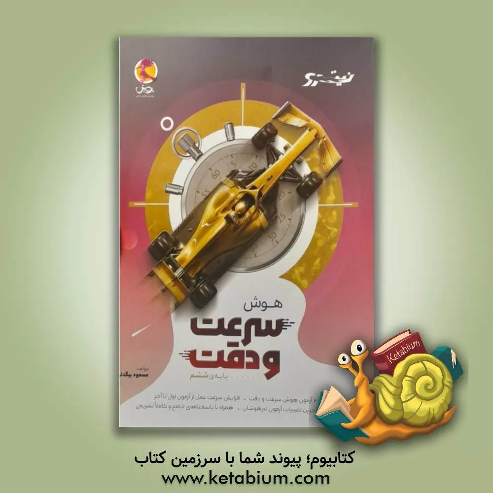 کتاب هوش سرعت و دقت اثر مسعود بیگدلی