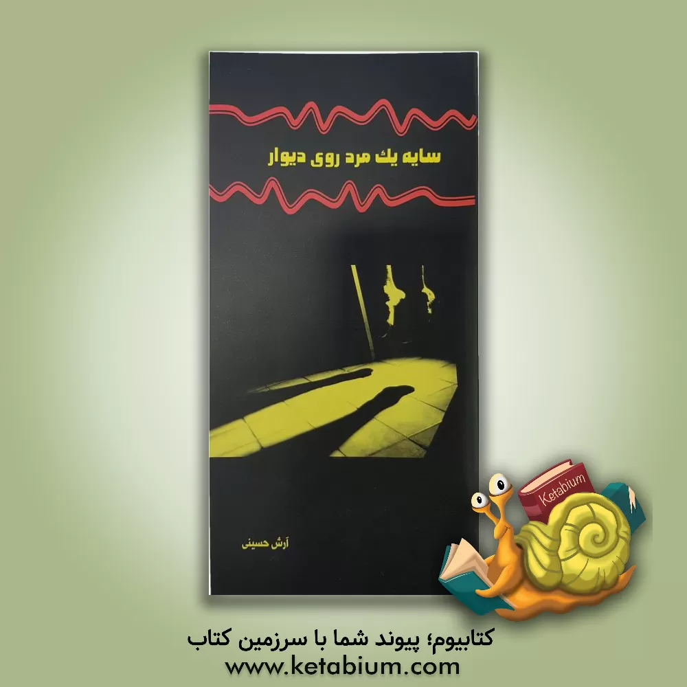 کتاب سایه یک مرد روی دیوار اثر آرش حسینی