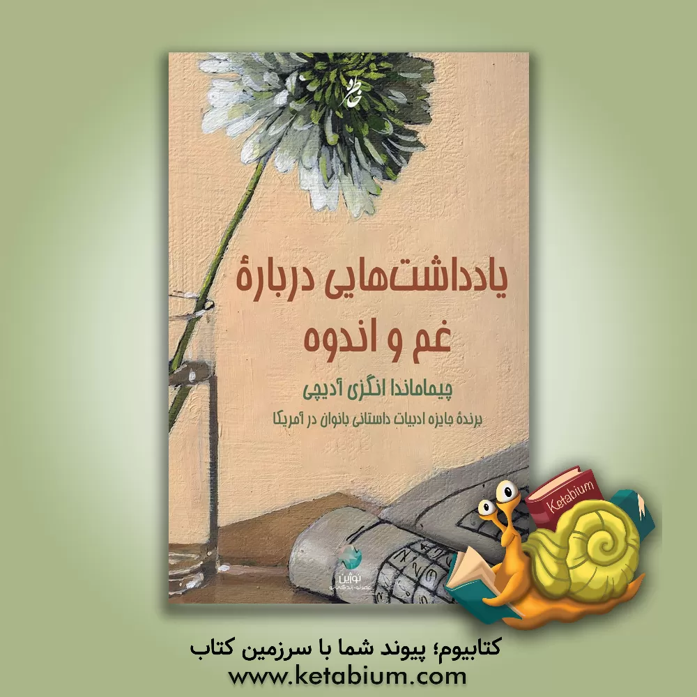 کتاب یادداشت‌هایی درباره غم و اندوه اثر چیمامانداانگازی آدیچی