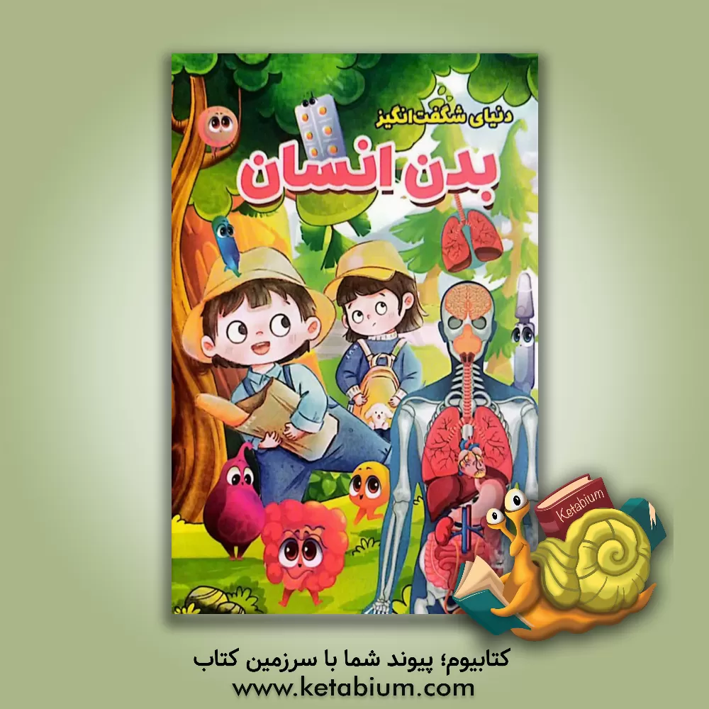 کتاب بدن انسان = The human body اثر ابوالفضل میرمحمدی