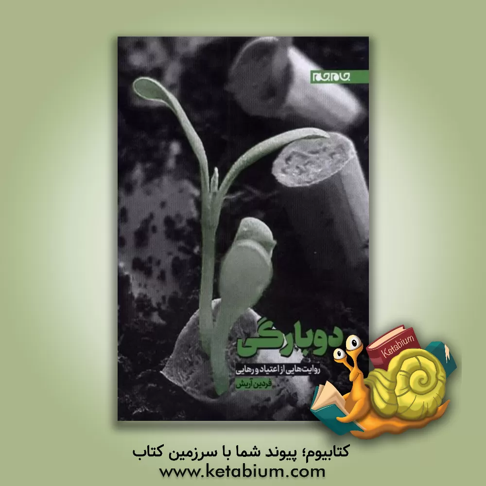 کتاب دوبارگی اثر فردین آریش