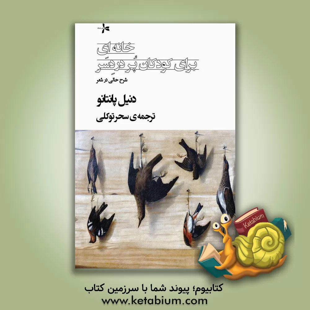 کتاب خانه ای برای کودکان پردردسر: شرح حالی در شعر |اثر دانیل پانتانو