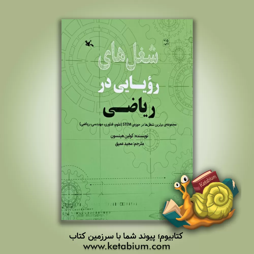 کتاب شغل‌های رویایی در ریاضی اثر کالین هینسون