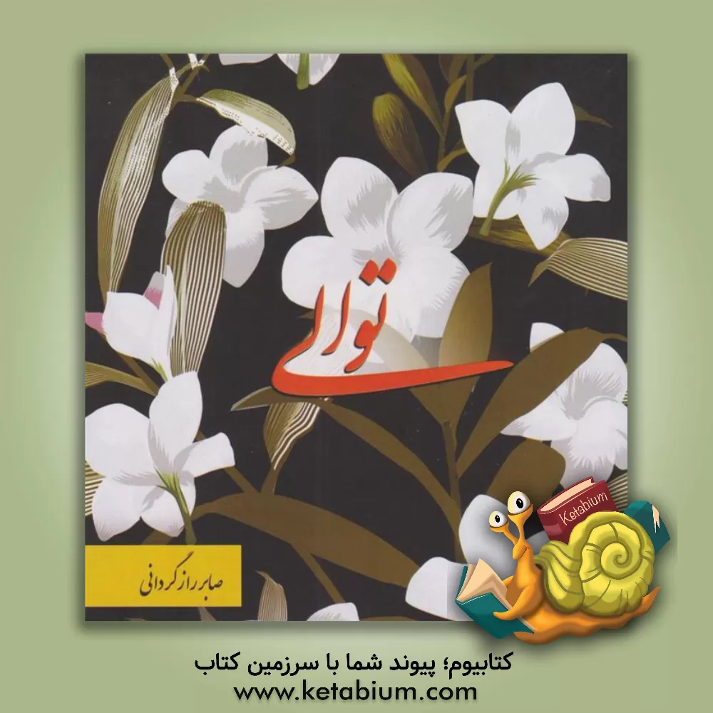 کتاب توالی اثر صابر رازگردانی‌شراهی