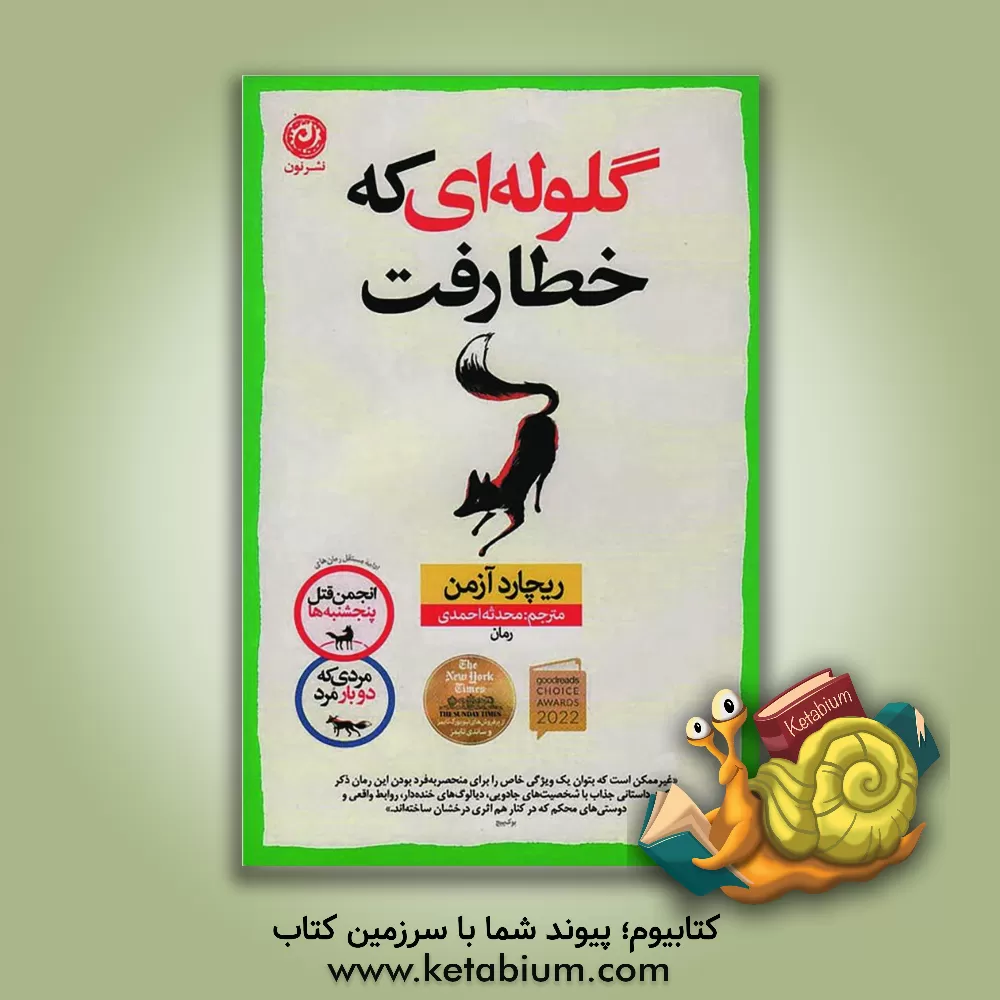 کتاب گلوله‌ای که خطا رفت اثر ریچارد آزمان