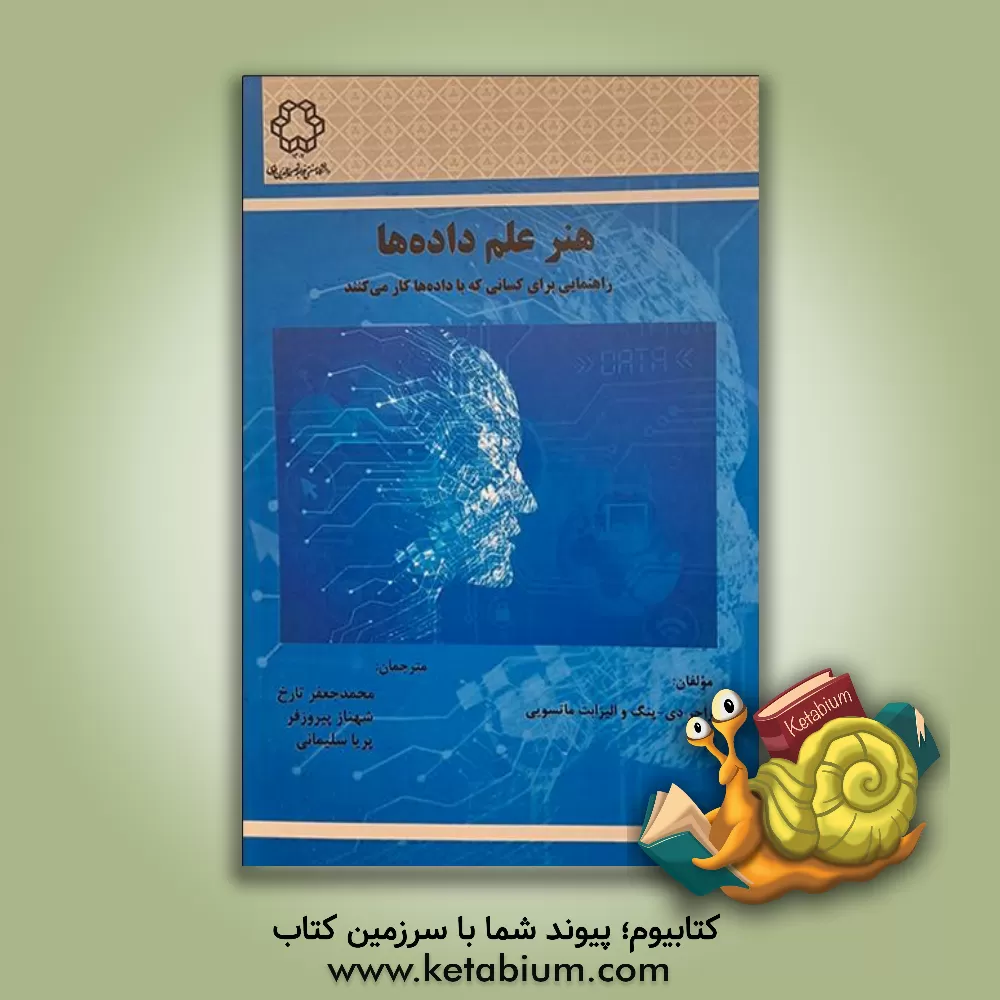 کتاب هنر علم داده: راهنمایی برای کسانی که با داده‌ها کار می‌کنند اثر راجر‌دی. پنگ