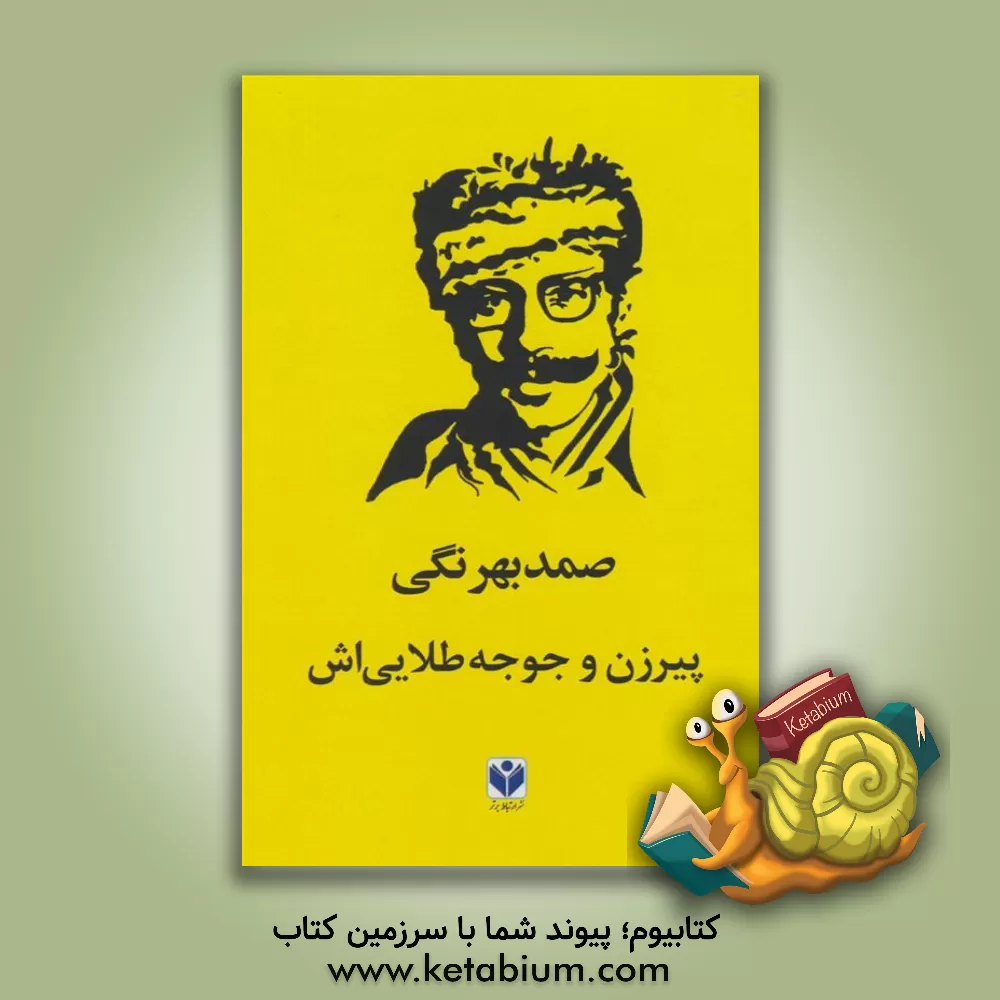 کتاب پیر زن و جوجه طلایی‌اش اثر صمد بهرنگی