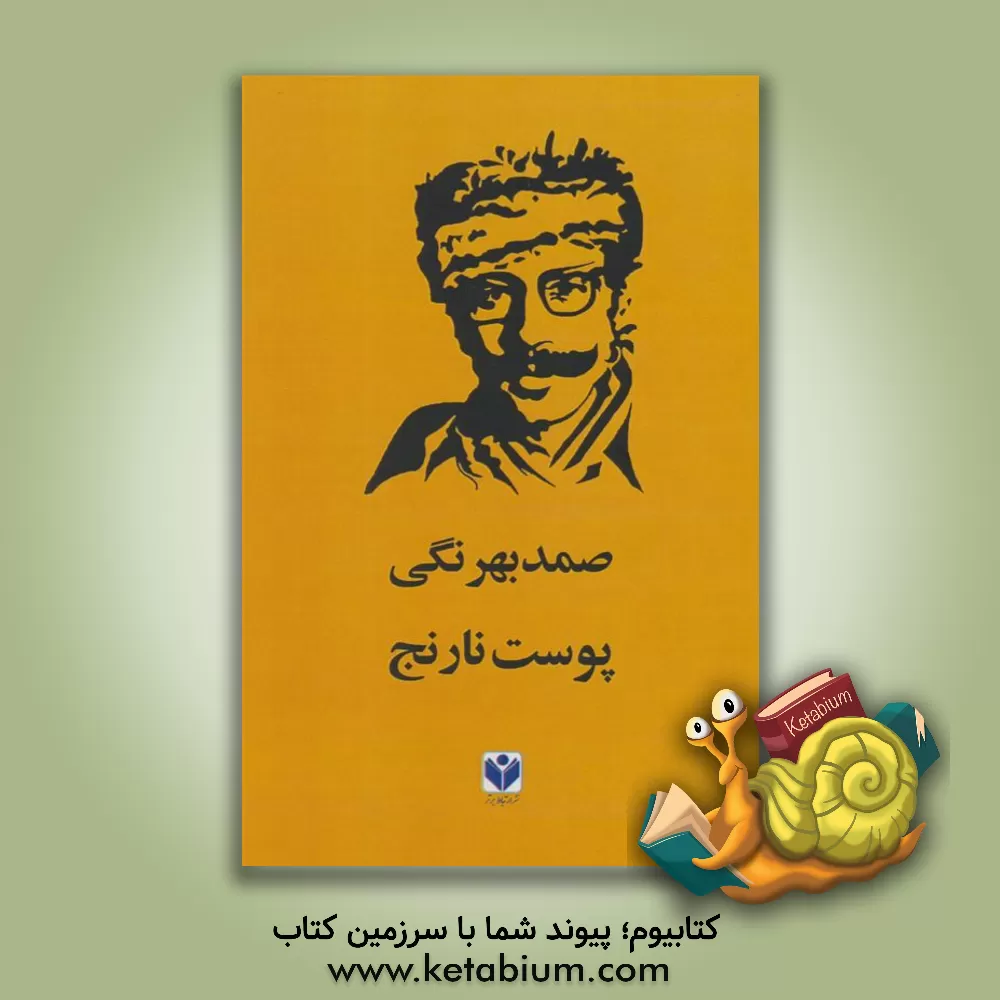 کتاب پوست نارنج اثر صمد بهرنگی