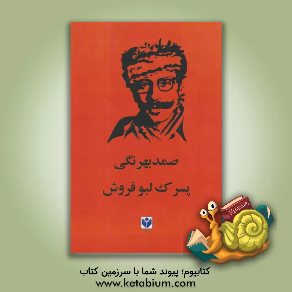 کتاب پسرک لبوفروش اثر صمد بهرنگی