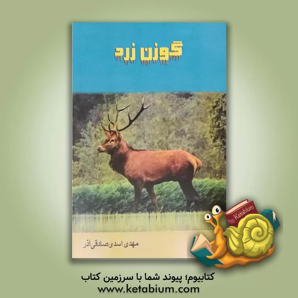کتاب گورن زرد اثر مهدی اسدی‌صادقی‌آذر
