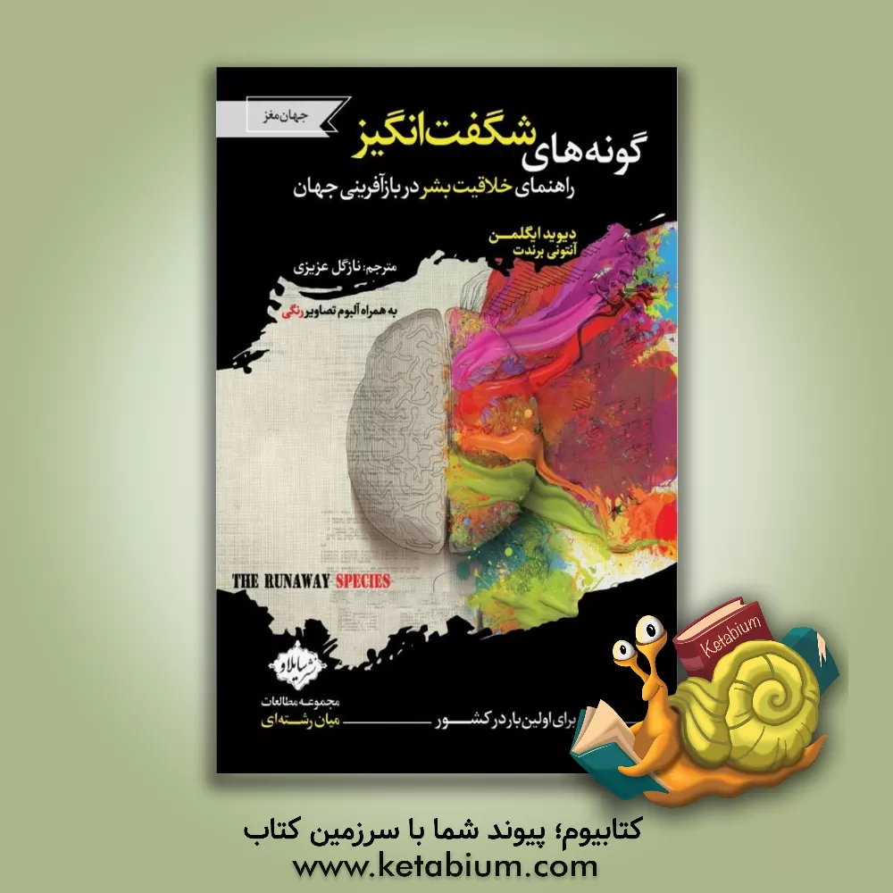 کتاب گونه‌های شگفت‌انگیز: راهنمای خلاقیت بشر در بازآفرینی جهان اثر دیوید ایگلمن