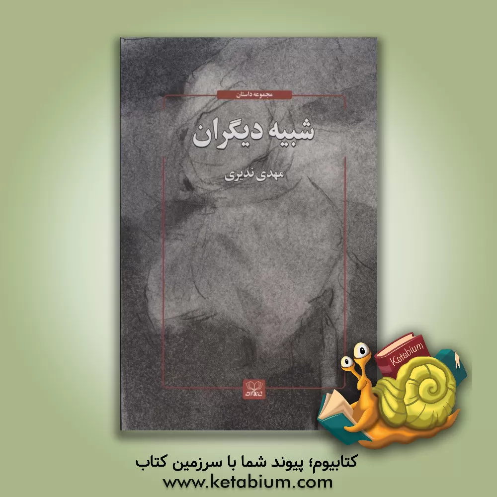 کتاب شبیه دیگران اثر مهدی ندیری