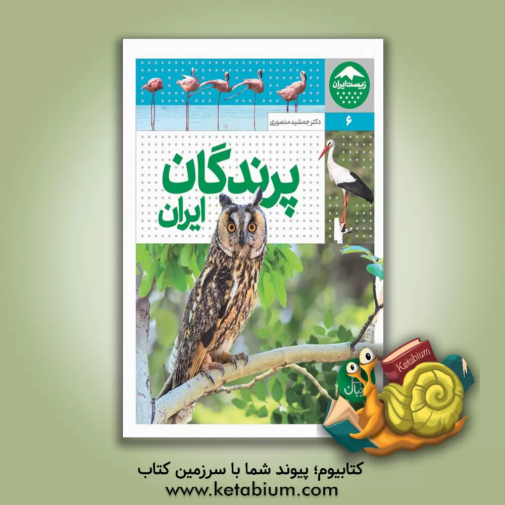 کتاب پرندگان ایران: تعدادی از گونه های شاخص و در معرض خطر |اثر جمشید منصوری