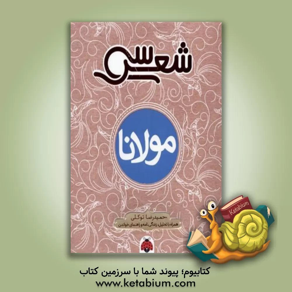 کتاب سی شعر مولانا اثر حمیدرضا توکلی