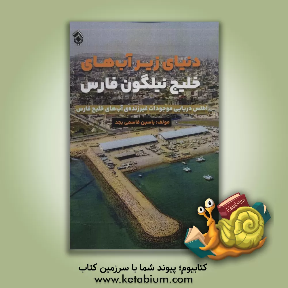 کتاب دنیای زیر آب های خلیج نیلگون فارس: اطلس دریایی موجودات غیر زنده ی آب های خلیج فارس |اثر یاسین قاسمی بجد