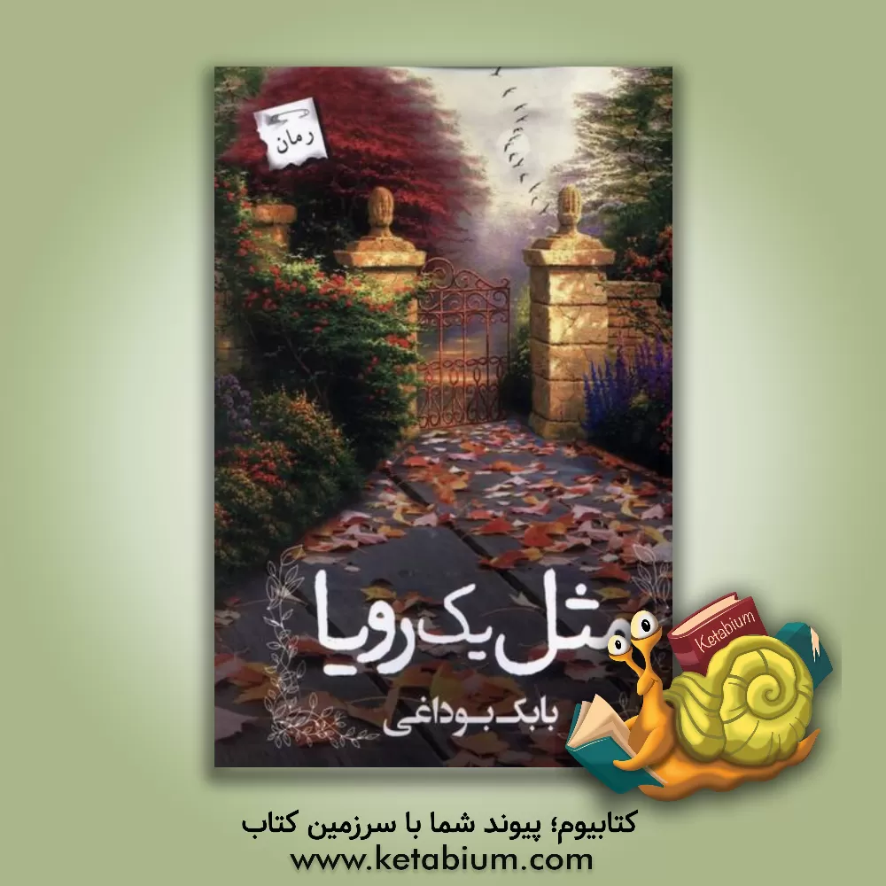 کتاب مثل یک رویا اثر بابک بوداغی