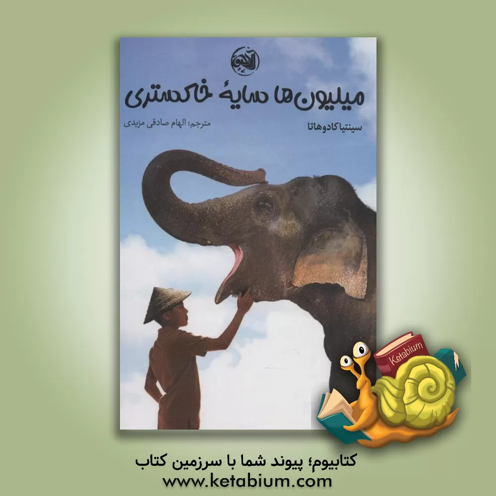 کتاب میلیون‌ها سایه خاکستری اثر سینتیا کادوهاتا