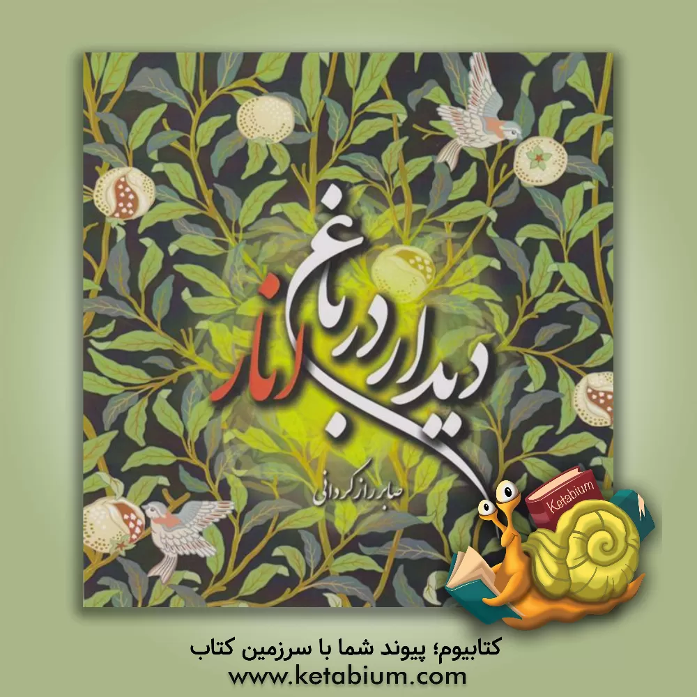 کتاب دیدار در باغ انار اثر صابر رازگردانی