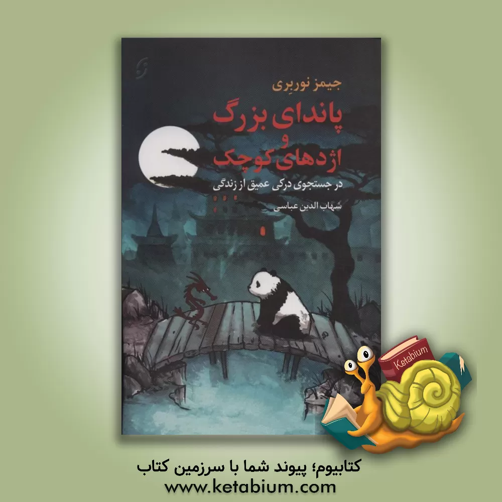 کتاب پاندای بزرگ و اژدهای کوچک: در جستجوی درکی عمیق از زندگی اثر جیمز نوربری