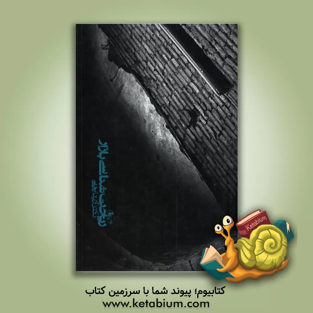 کتاب ریخت شناسی بازار اثر آزیتا رجبی