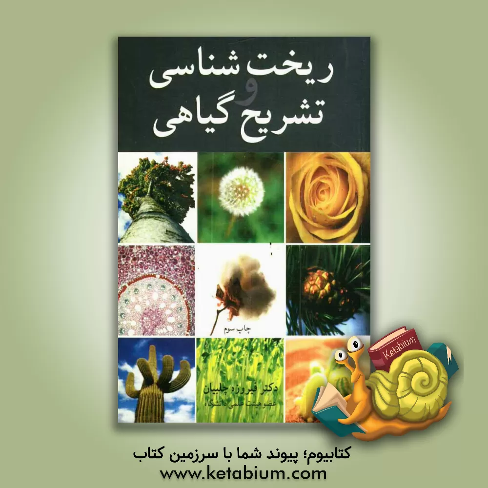 کتاب ریخت شناسی و تشریح گیاهی |اثر فیروزه چلبیان