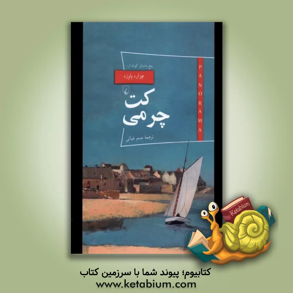 کتاب کت چرمی اثر چزاره پاوزه