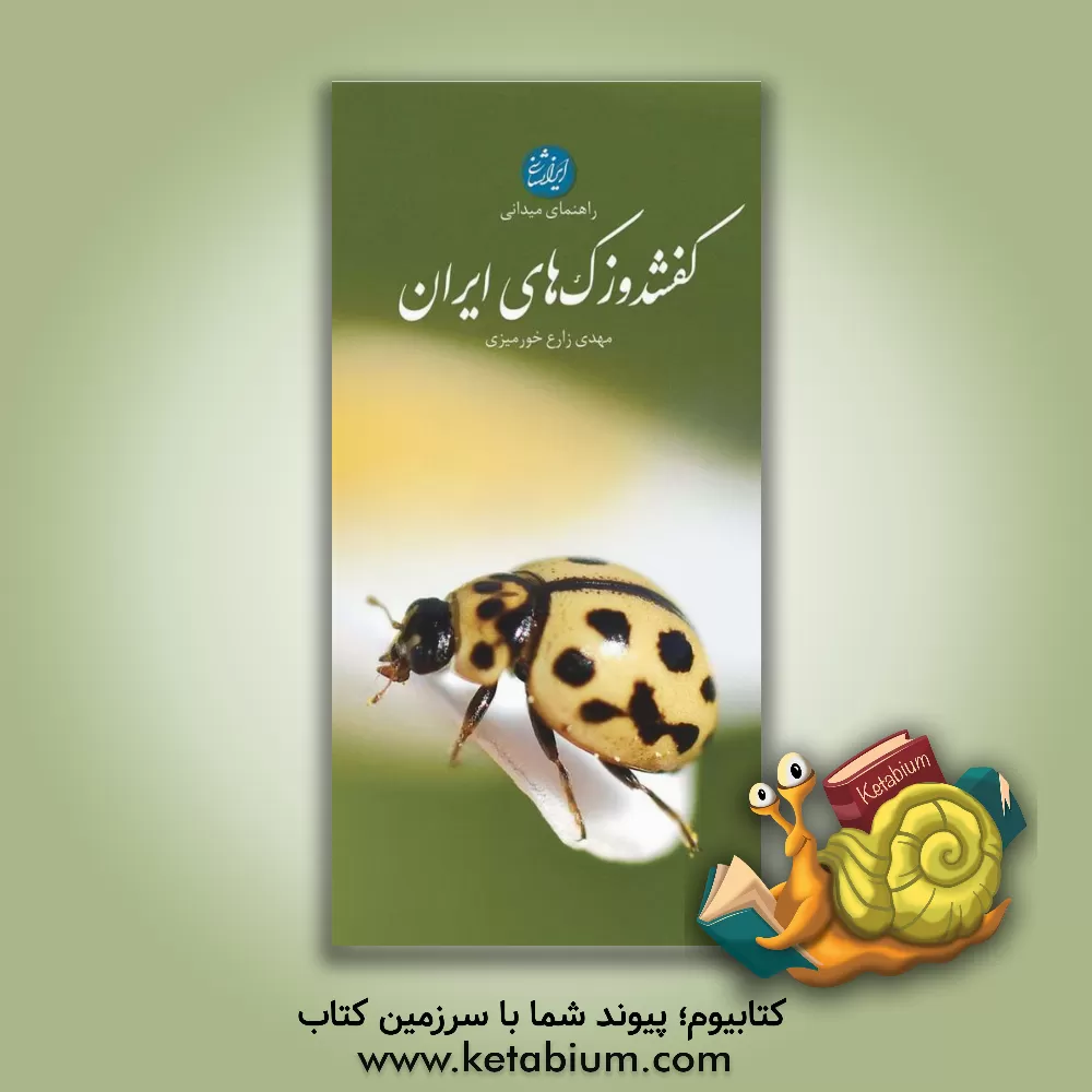 کتاب راهنمای میدانی کفشدوزک های ایران |اثر مهدی زارع خورمیزی