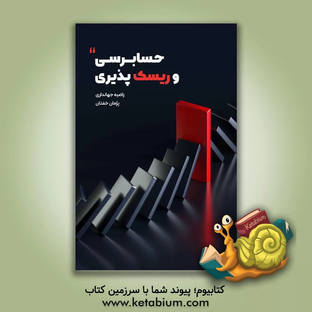 کتاب حسابرسی و ریسک‌پذیری اثر راضیه جهانداری