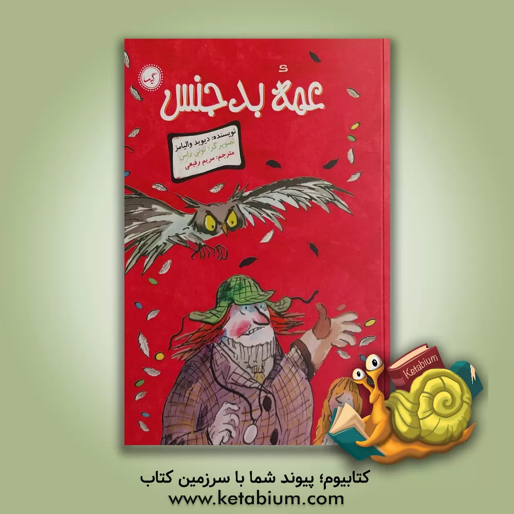 کتاب عمه بدجنس اثر دیوید والیامز